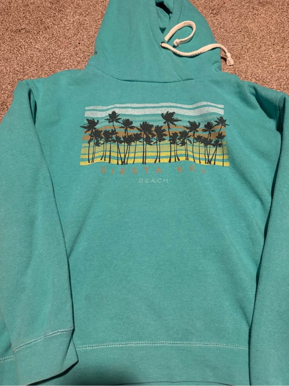 Teal Palm-Print Hoodie Sweatshirt